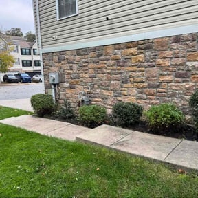 Bush Trimming by Spinelli Scenery Solutions LLC. reviewed on November 10, 2025