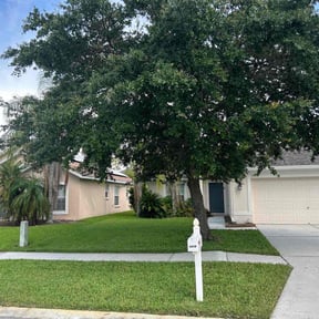 landscaping by Hampton's Landscaping LLC reviewed on December 18, 2025