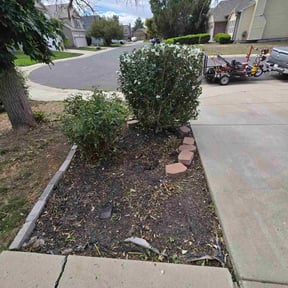 Bush Trimming by Achieving the dream llc reviewed on October 18, 2025