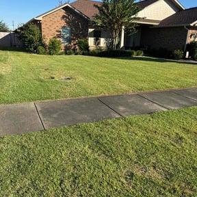 grass cutting by DD Lawn & Handyman Services reviewed on July 10, 2025