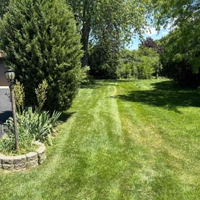 turf maintenance by Gonzalez Landscaping reviewed on March 14, 2024