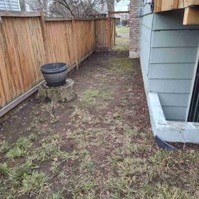 Leaf Removal by Cejay’s environmental &amp; property services reviewed on July 11, 2026