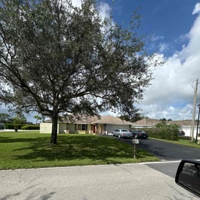 grass cutting by Gilmore's Grass cuts and more reviewed on August 19, 2025