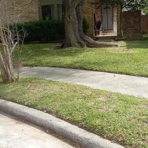 yard work by Wildflower Lawn Care Company reviewed on August 21, 2025