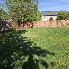 yard maintenance by JD Services 757 LLC reviewed on August 18, 2025