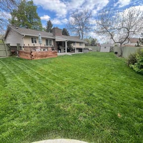 lawn maintenance by BLC3 LLC / Turf Guys reviewed on August 16, 2025