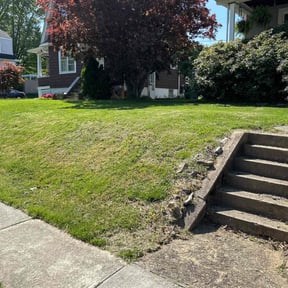 grass maintenance by Troy's Lawn Care reviewed on September 27, 2023