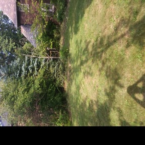 Bush Trimming by J’s Lawn Care reviewed on August 15, 2025