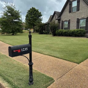 lawn care by Green Thumb lawncare reviewed on August 20, 2025