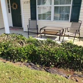 Bush Trimming by Blue Diamond Cleaning Services reviewed on August 18, 2025