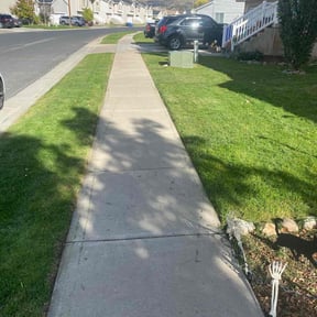 lawn maintenance by Calderon Lawn Service reviewed on May 4, 2024