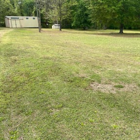 Bush Trimming by Green keepers Lawn & Landscape reviewed on August 17, 2025