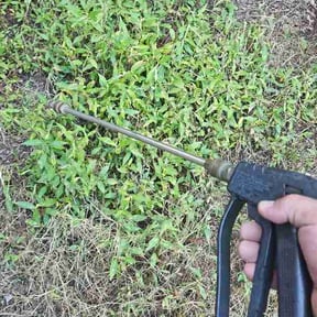 Flower Bed Weeding by Gavin LLC reviewed on August 19, 2026