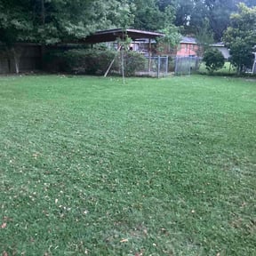 Bush Trimming by Diesel Dog Lawn Care LLC reviewed on August 16, 2025