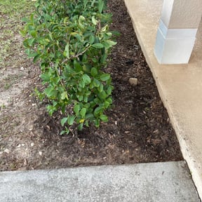 Flower Bed Weeding by Giddens lawncare reviewed on August 15, 2025