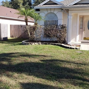 Bush Trimming by Trout lawn care reviewed on August 18, 2025