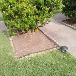 Flower Bed Weeding by The Whole Nine Yards reviewed on August 20, 2025