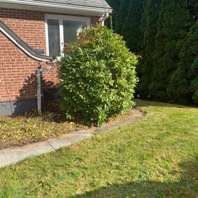 Flower Bed Weeding by Jeff mows  lawns reviewed on October 19, 2025