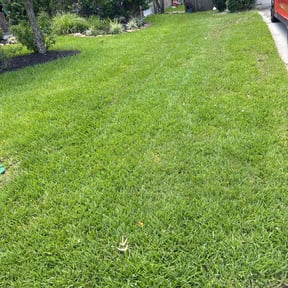 yard service by mark's lawncare reviewed on April 30, 2022