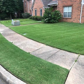 lawn care services by Lucky Lawns reviewed on August 15, 2025