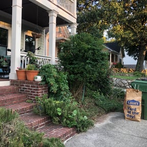 Bush Trimming by Ryan’s Lawn Care reviewed on August 20, 2025