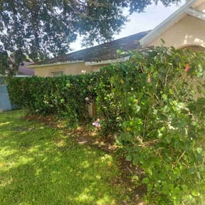 Bush Trimming by Mowtown lawn grooming reviewed on August 21, 2025