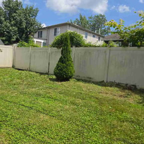 Bush Trimming by Bigdogs Property Maintenance reviewed on August 15, 2026