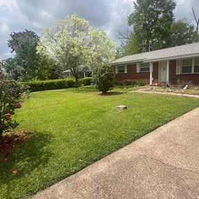 turf maintenance by Affluere Lawncare reviewed on May 16, 2024