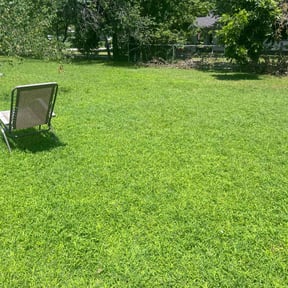 residential landscaping by Brown Boy Services reviewed on August 18, 2025