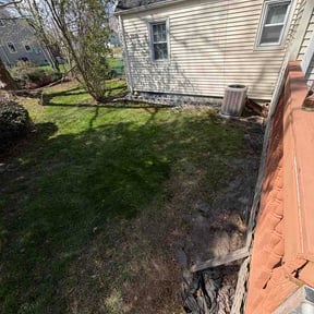 Leaf Removal by KeepItTrim reviewed on August 3, 2026