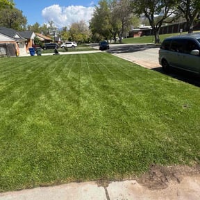 residential landscaping by South Texas landscape reviewed on August 21, 2025