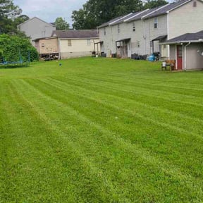 yard service by Lawn Maintenance reviewed on August 18, 2025