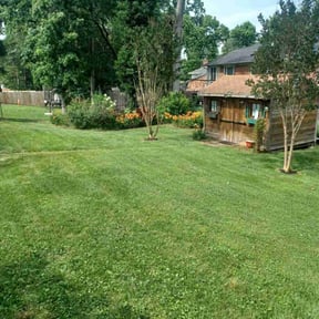 Lawn Treatment by  reviewed on October 31, 2025