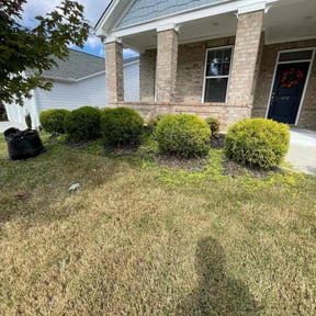 Bush Trimming by VSL Lawn Service reviewed on August 19, 2025