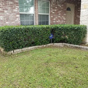 Bush Trimming by Shield Hygienic Services llc reviewed on August 20, 2025