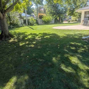 yard work by Terry Lawncare reviewed on August 17, 2025