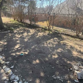 Leaf Removal by Azwesthomeservices reviewed on February 6, 2026