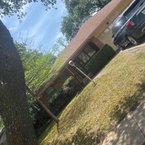 Bush Trimming by YFC Lawn Care and Maintenance reviewed on August 16, 2025