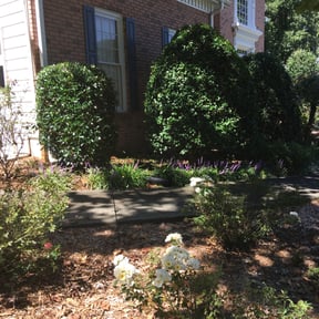 Bush Trimming by Dads Lawn Care LLC reviewed on August 15, 2025