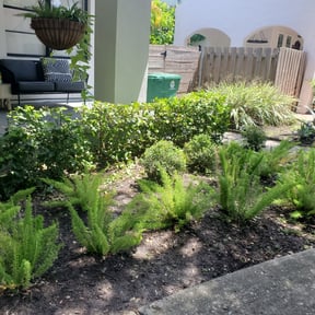 Bush Trimming by Perryman Services reviewed on August 17, 2025