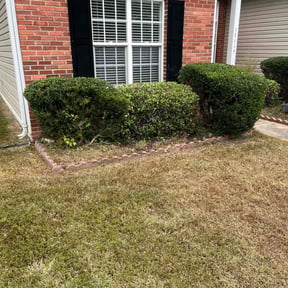 Bush Trimming by Mojica Lawn Care reviewed on October 22, 2025