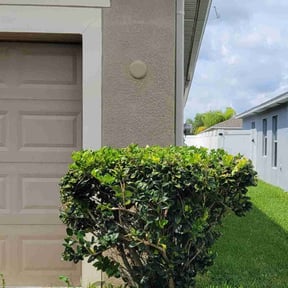 Bush Trimming by Midwest Lawn Care reviewed on August 15, 2025