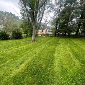 grass maintenance by Taco Man Lawncare reviewed on May 7, 2024