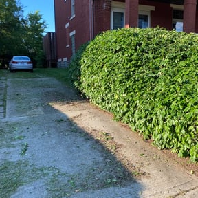 Bush Trimming by Chad&#039;s Mowing Service reviewed on August 21, 2025
