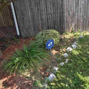 Bush Trimming by Carbon Dioxide Recyclers reviewed on November 4, 2025