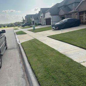 landscaping by Down To Earth Landscaping  reviewed on August 17, 2025