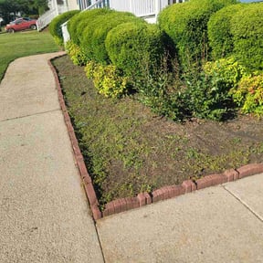 Flower Bed Weeding by Los Sebas landscape reviewed on May 13, 2026