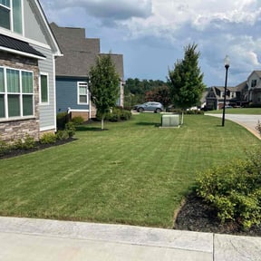 turf maintenance by Done Right Lawn Service reviewed on September 16, 2023