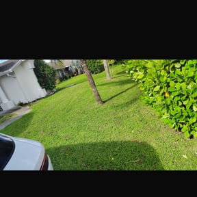 Leaf Removal by Top cut lawns reviewed on October 20, 2025