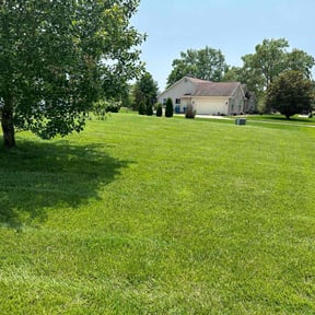 yard work by Dad&#039;s lawn care reviewed on August 16, 2025